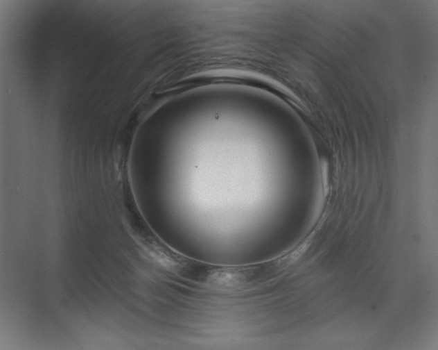 X0000074280174200608251328