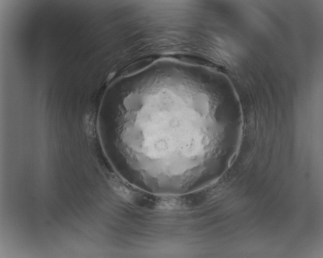 X0000074280177200608251328