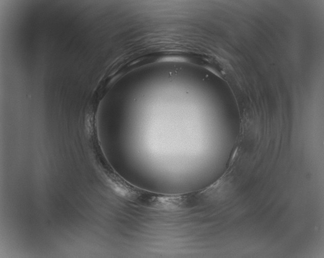 X0000074280188200608251328