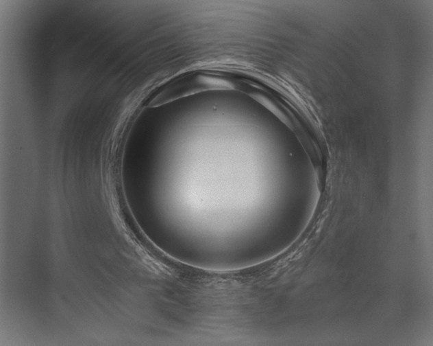 X0000074280193200608251327