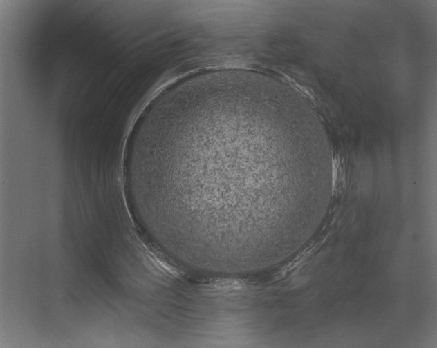 X0000074280195200608251327