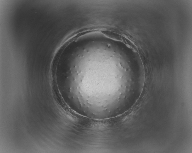 X0000074280198200608251327