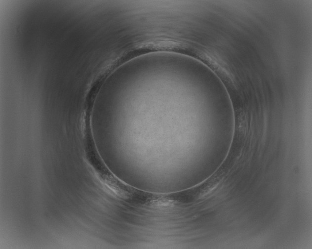 X0000074280206200608251327