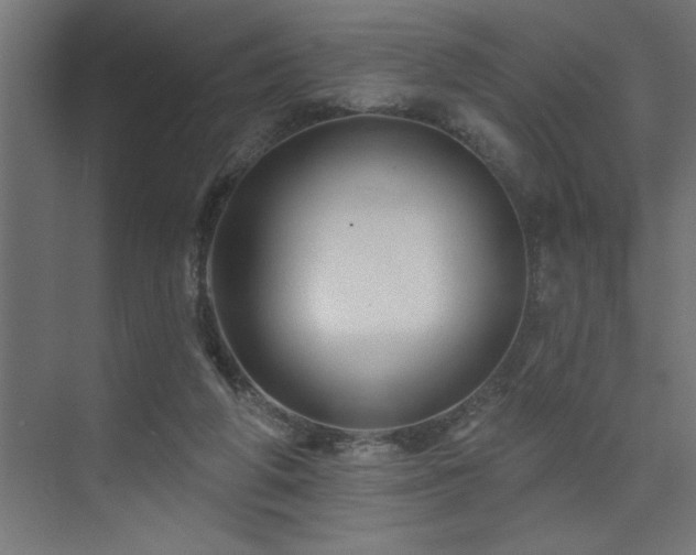 X0000074280210200608251327