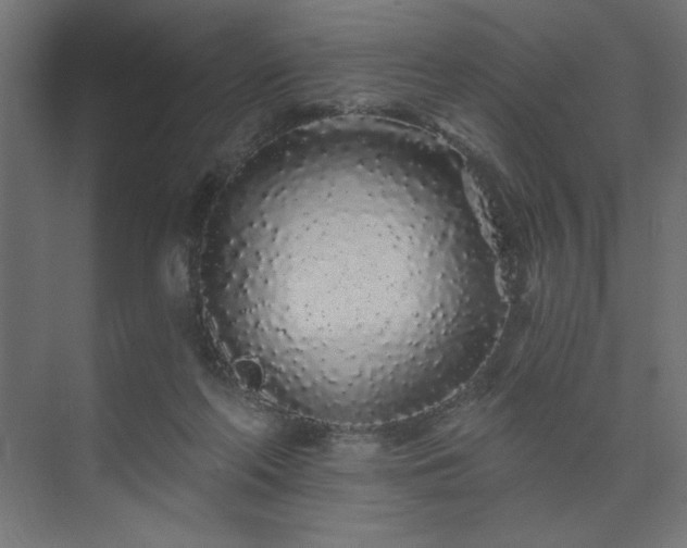 X0000074280214200608251327