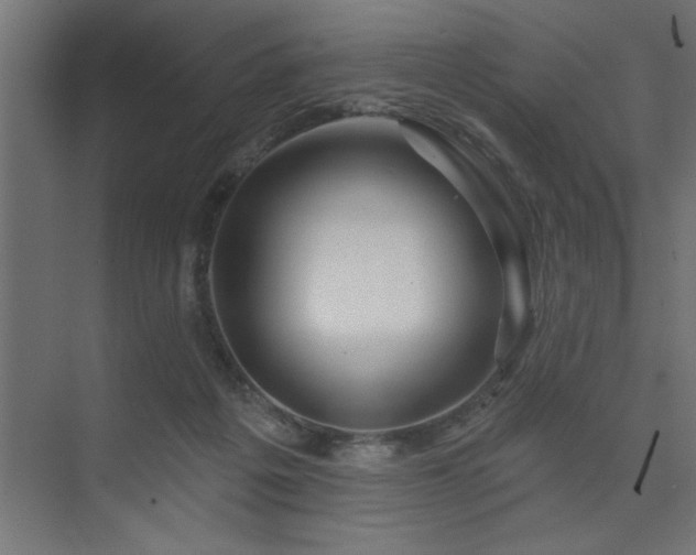 X0000074280217200608251327