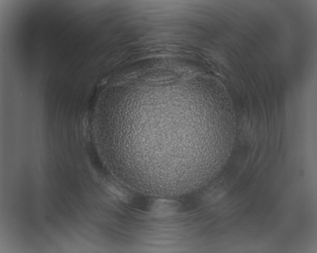 X0000074280222200608251327