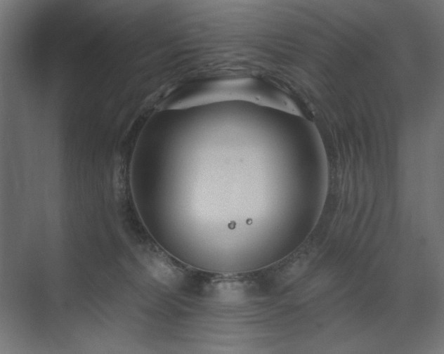 X0000074280228200608251326