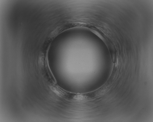 X0000074280231200608251326