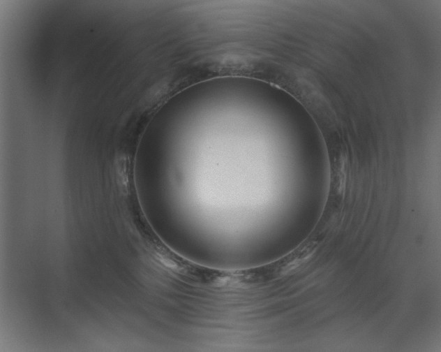 X0000074280232200608251326