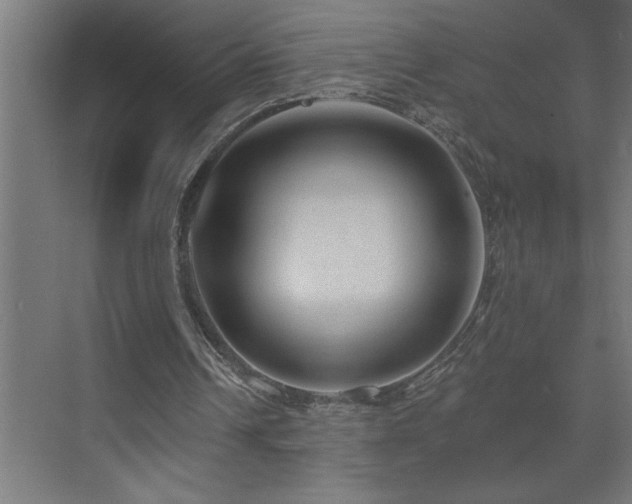 X0000074280242200608251325