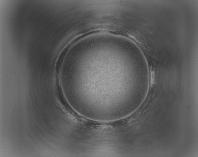 X0000074280243200608251325