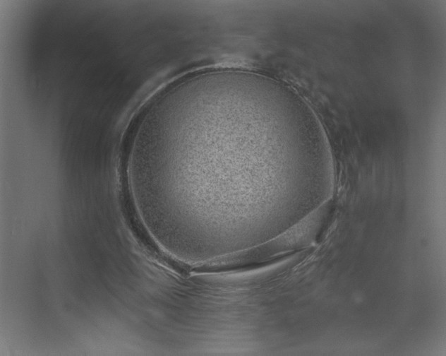 X0000074280247200608251326