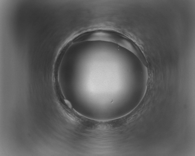 X0000074280248200608251326