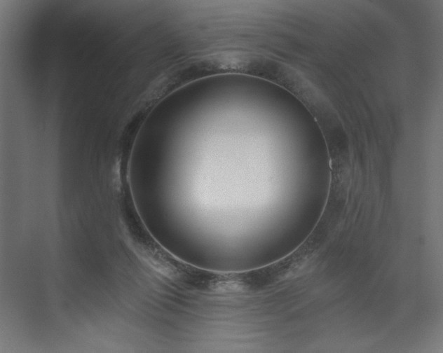 X0000074280262200608251326