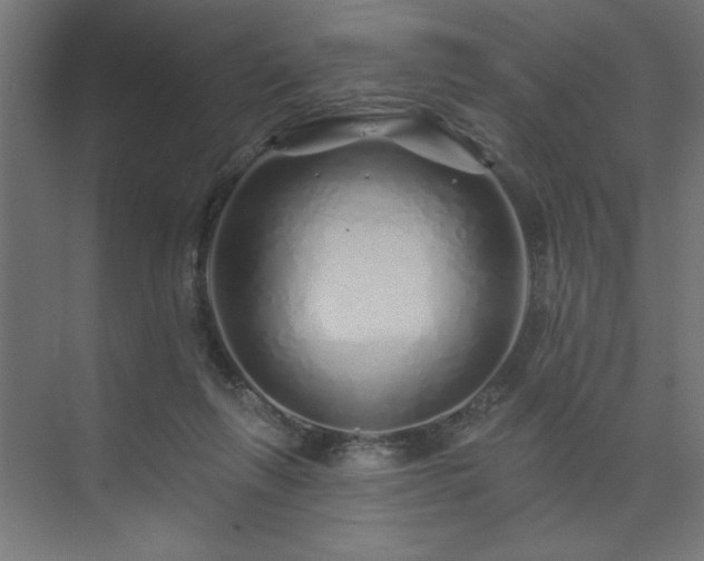 X0000074280263200608251326