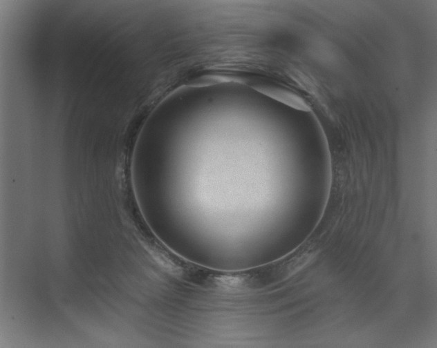 X0000074280265200608251326