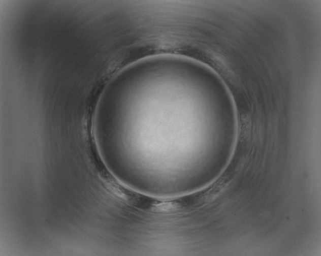 X0000074280269200608251326