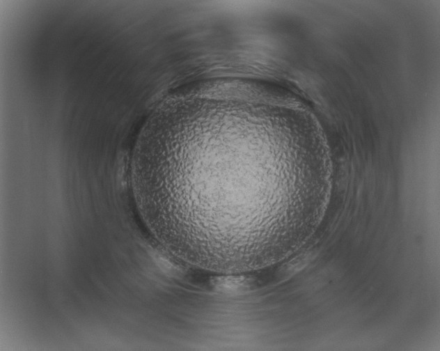 X0000074280273200608251326