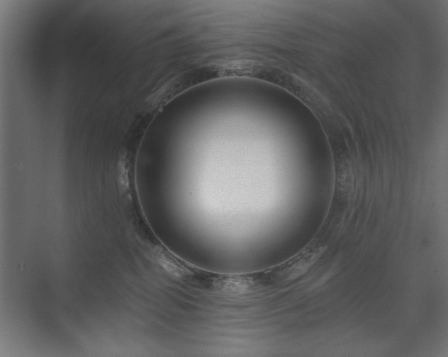 X0000074280282200608251326