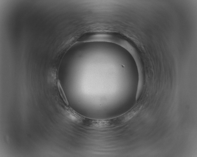 X0000074280288200608251326