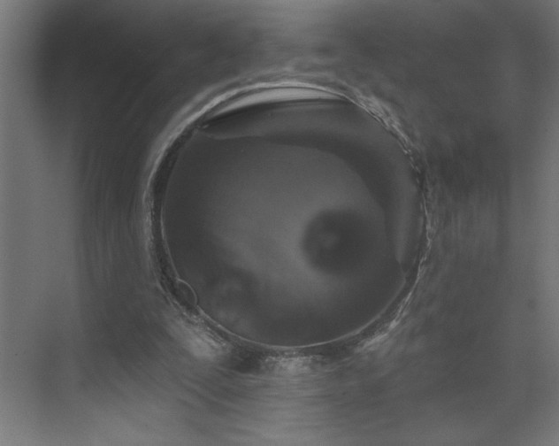X0000074280295200608251325