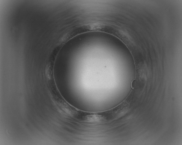 X0000074280316200608251325
