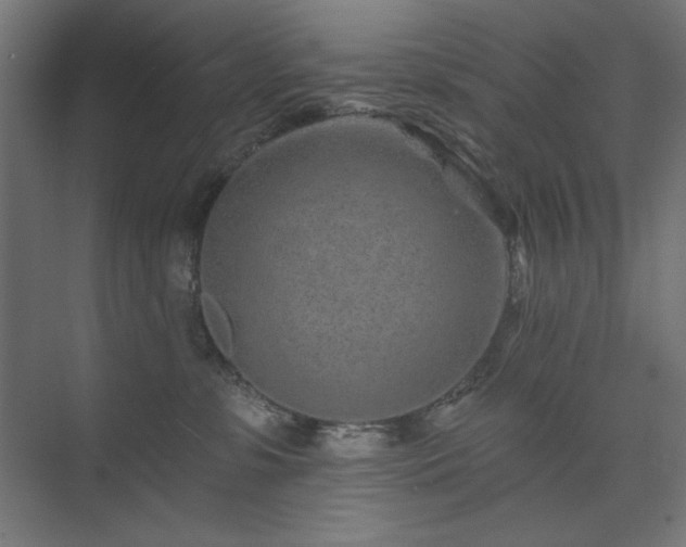 X0000074280331200608251325