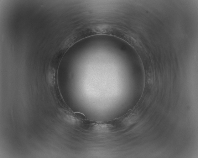 X0000074280332200608251325