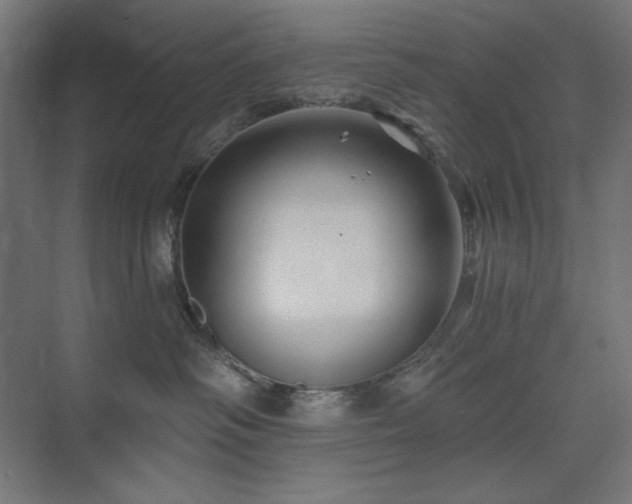 X0000074280334200608251325