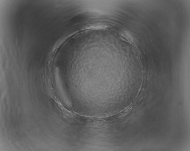 X0000074280337200608251324