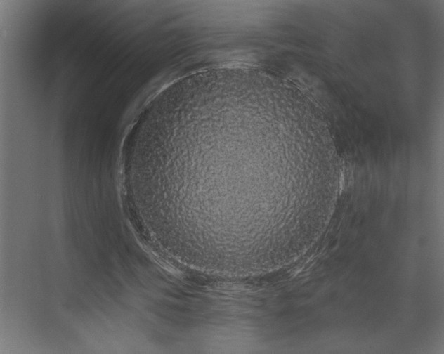 X0000074280339200608251324
