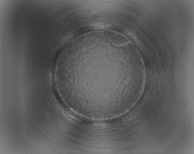 X0000074280357200608251324
