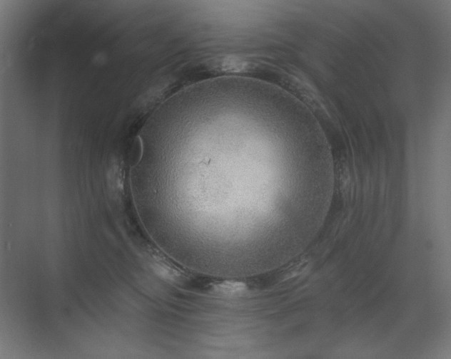 X0000074280374200608251324