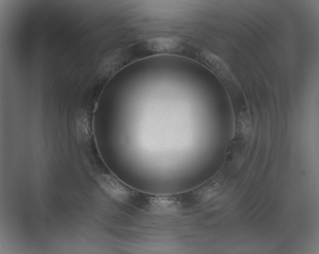 X0000074280380200608251325