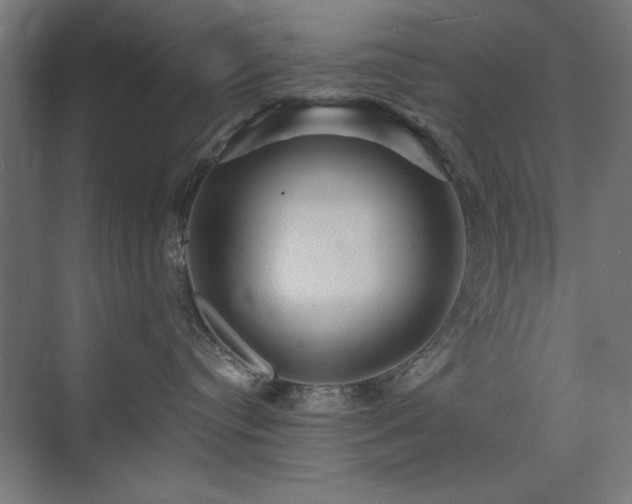 X0000074280384200608251325