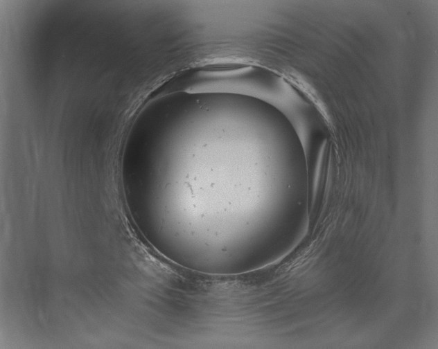 X0000074280385200608251324