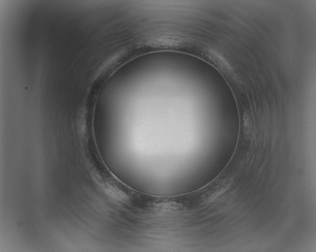 X0000074280396200608251324