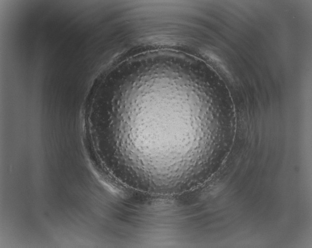 X0000074280398200608251324