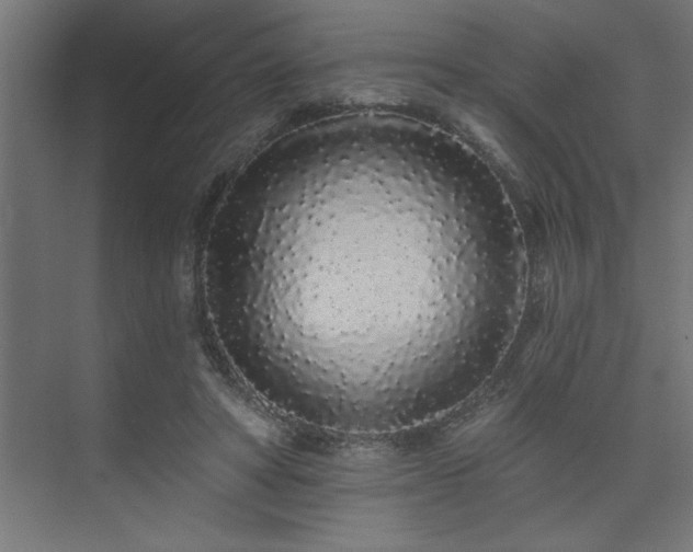 X0000074280402200608251323