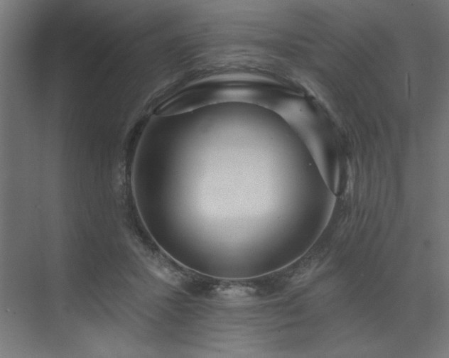 X0000074280407200608251323