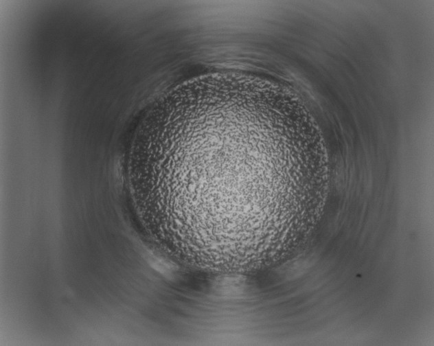 X0000074280410200608251323