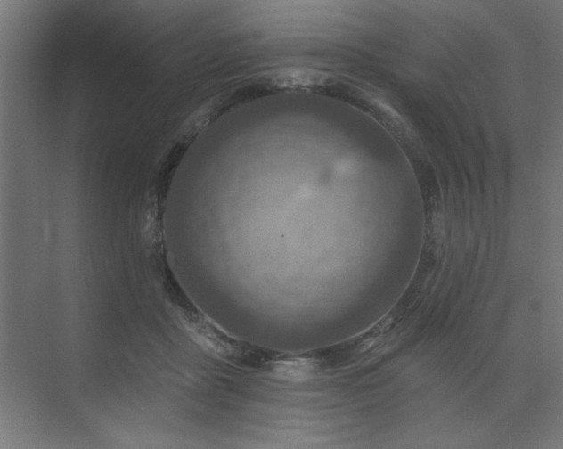 X0000074280411200608251323