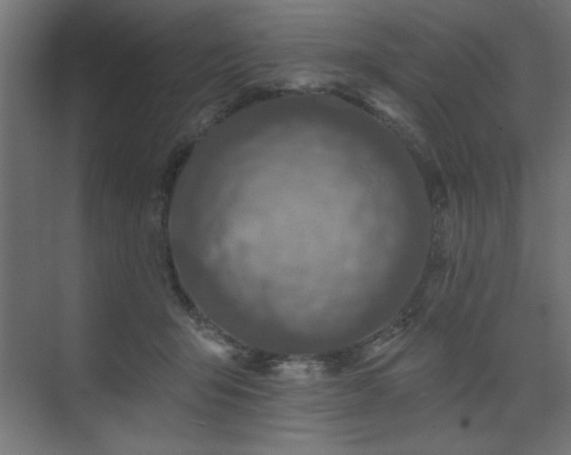 X0000074280415200608251323