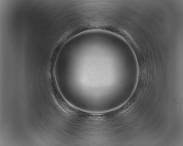 X0000074280443200608251322
