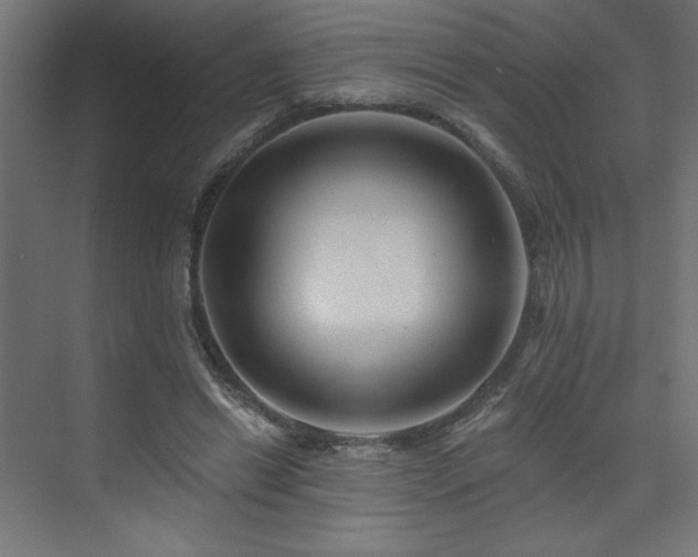 X0000074280446200608251322
