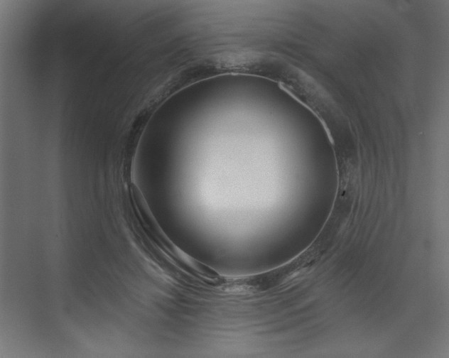 X0000074280452200608251322