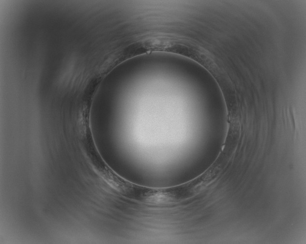 X0000074280460200608251323