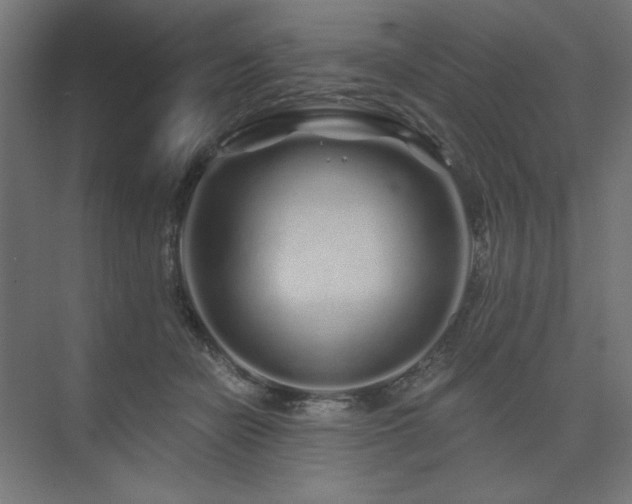 X0000074280462200608251323