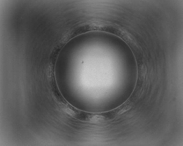 X0000074280463200608251323